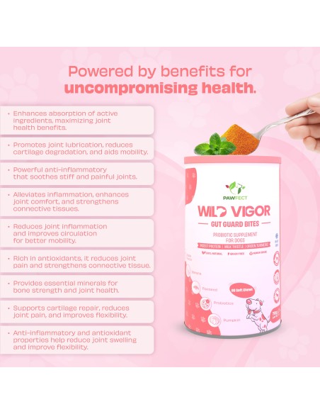 Pawfect supplements Wild Vigor Gut Guard 60 Pcs.