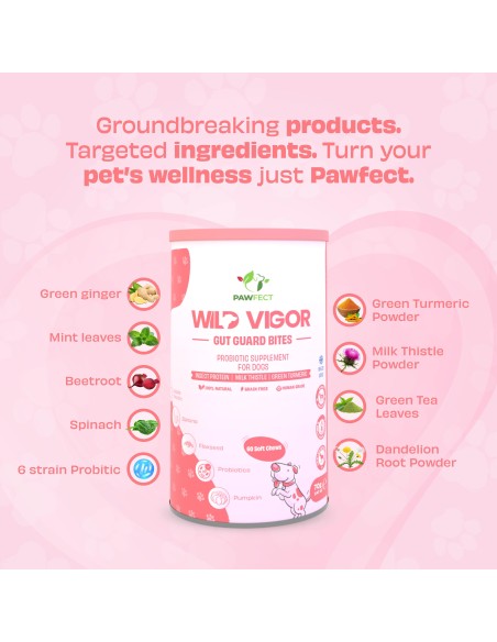 Pawfect supplements Wild Vigor Gut Guard 60 Pcs.