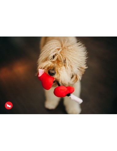 Puppy Love Collection Toys (B2C) - 1 Set (i.e. 3 pcs) with Gift Box  - Fur-Ever Hearts