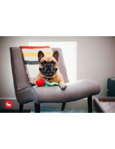 PLAY Puppy Love - Rover's Roses 2