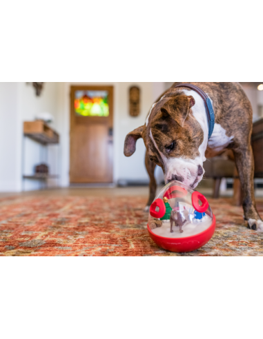 PLAY Wobble Ball Enrichment Treat Toy - Red : Color - Red