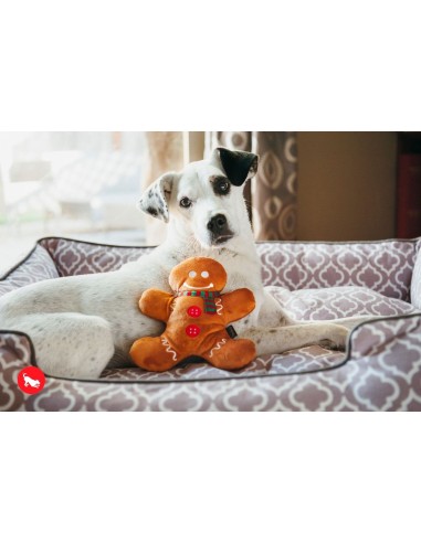 PLAY Holiday Classic    - Gingerbread Man