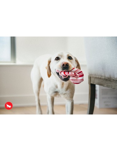 PLAY Holiday Classic    - Candy Canes