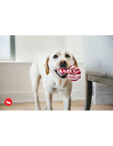 PLAY Holiday Classic    - Candy Canes