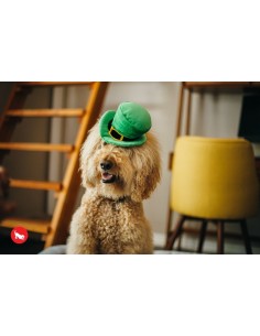 PLAY Mutt Hatter - Leprechaun 2