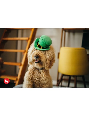PLAY Mutt Hatter - Leprechaun  - Leprechaun