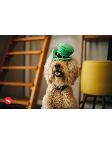 PLAY Mutt Hatter - Leprechaun  - Leprechaun