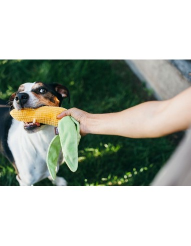 PLAY Farm Fresh - Bell Pepper  - Maïskolf