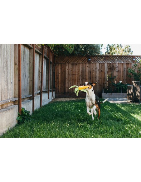 PLAY Farm Fresh - Bell Pepper  - Maïskolf