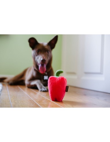 PLAY Farm Fresh - Bell Pepper  - Paprika