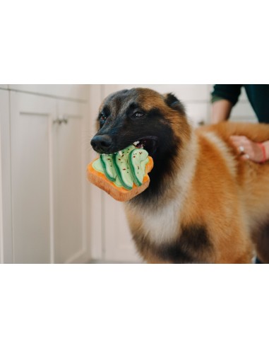 PLAY Barking Brunch    - Avo-Doggo Toast, Size - Standaard