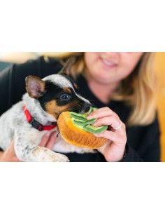 PLAY Barking Brunch - Avo-Doggo Toast - Mini 2