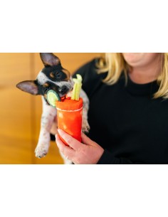 PLAY Barking Brunch - Buddy Mary - Mini 2