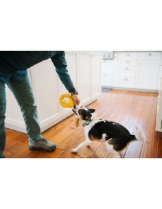Barking Brunch - Chicken & Woofles - Mini 2