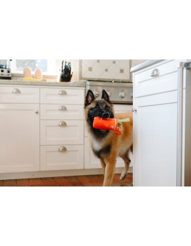 PLAY Barking Brunch    - Display, Size - Standaard