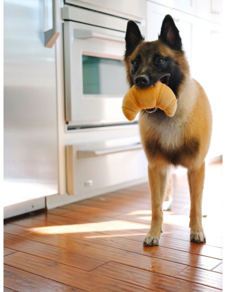 PLAY Barking Brunch    - Display, Size - Standaard