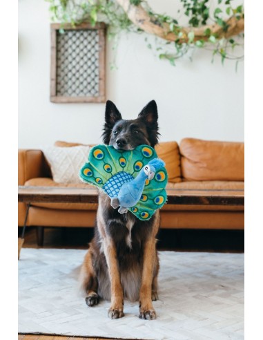 PLAY Fetching Flock   - Pauw