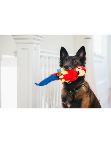 PLAY Fetching Flock   - Papagaai
