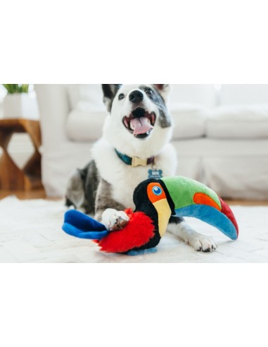PLAY Fetching Flock   - Toekan