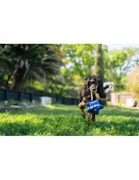 PLAY Party Time   - Ballon, Size - Mini