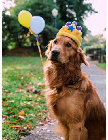PLAY Party Time   - Crown, Size - Standaard