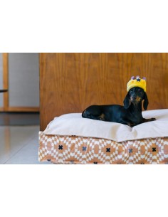 PLAY Party Time - Canine Crown - Mini 2