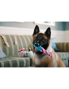 PLAY Party Time - Raise the Woof Party Horn 2