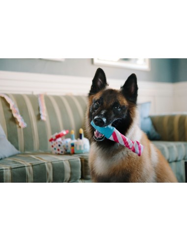 PLAY Party Time   - Party Horn, Size - Standaard
