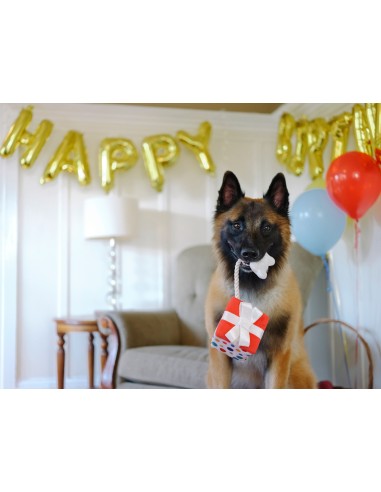PLAY Party Time   - Present, Size - Standaard