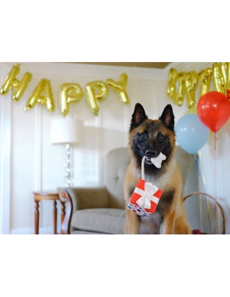 PLAY Party Time   - Present, Size - Standaard