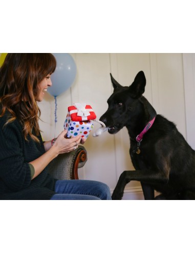PLAY Party Time   - Present, Size - Standaard