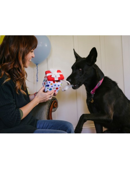 PLAY Party Time   - Present, Size - Standaard