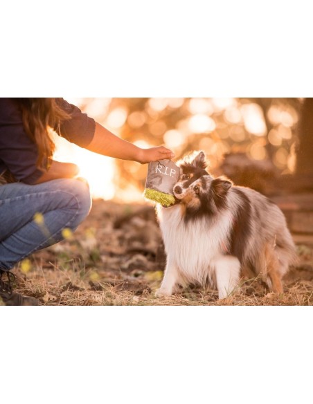 PLAY Howling Haunts  - Ghoulish Grave