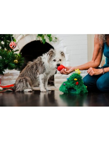 PLAY Merry Woofmas    - Doglas Fur