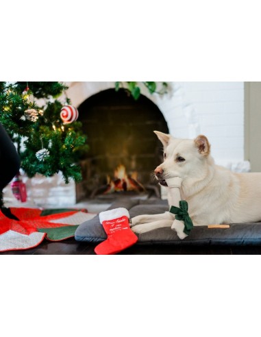 PLAY Merry Woofmas    - Good Dog Stocking