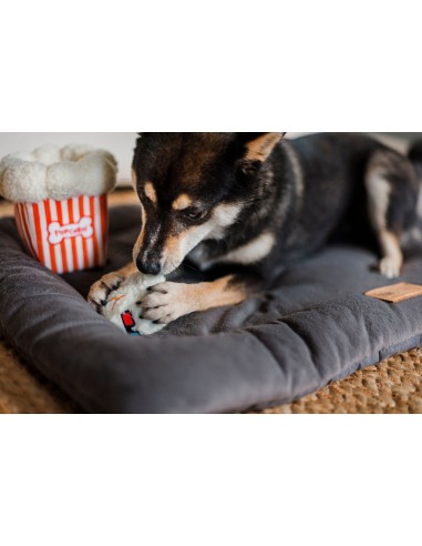 PLAY Hollywoof Cinema Collection   - Poppin' Pupcorn