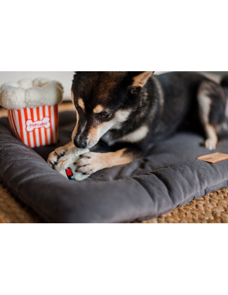 PLAY Hollywoof Cinema Collection   - Poppin' Pupcorn