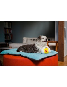 PLAY Hollywoof Cinema - Hoppy Hound Brew 2