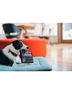PLAY Hollywoof Cinema - Doggy Director Board 2