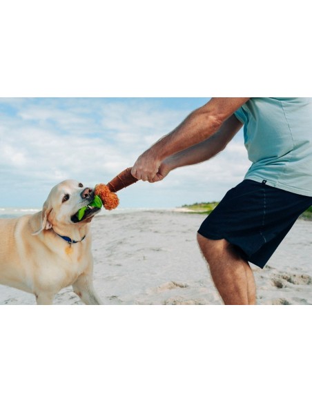 PLAY Tropical Paradise  - Puppy Palm