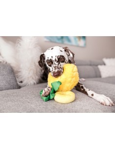 PLAY Tropical Paradise - Paws Up Pineapple 2
