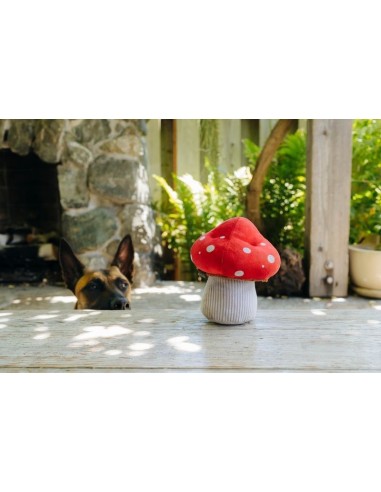 PLAY Blooming Buddies - Mutt Mushroom
