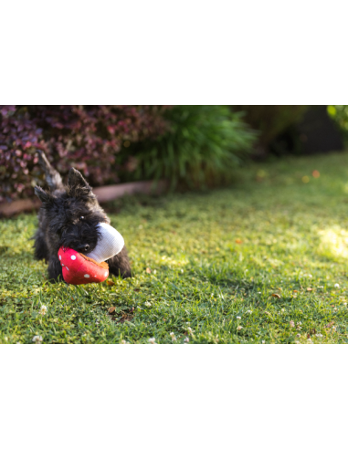 PLAY Blooming Buddies - Mutt Mushroom