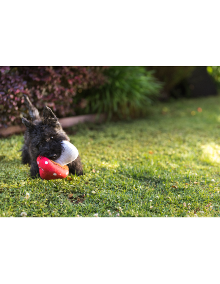 PLAY Blooming Buddies - Mutt Mushroom