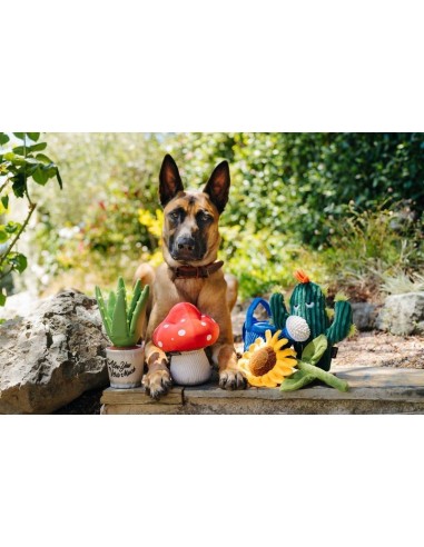 PLAY Blooming Buddies - Mutt Mushroom