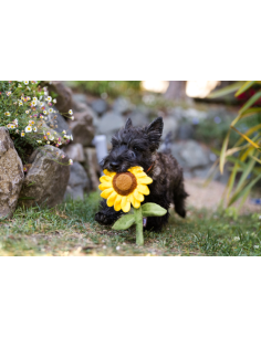PLAY Blooming Buddies - Sassy Sunflower 2