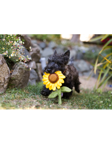 PLAY Blooming Buddies - Sassy Sunflower