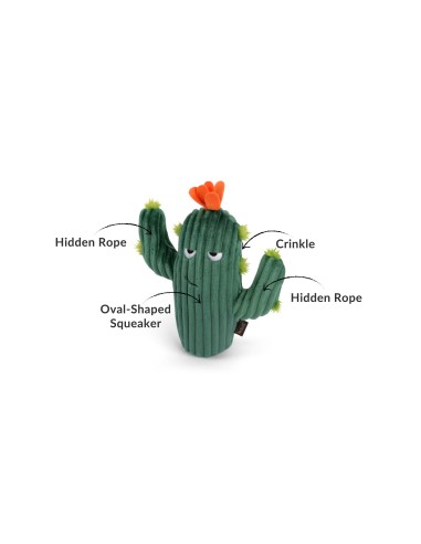 PLAY Blooming Buddies - Prickly Pup Cactus