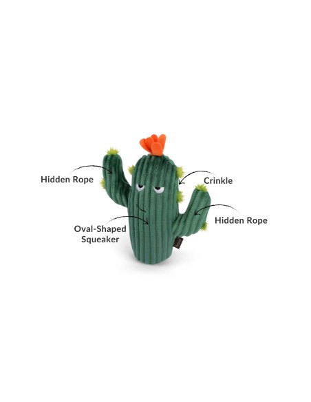 PLAY Blooming Buddies - Prickly Pup Cactus