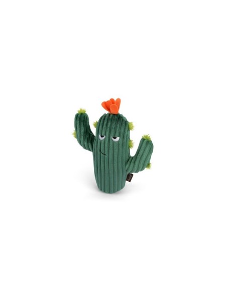 PLAY Blooming Buddies - Prickly Pup Cactus